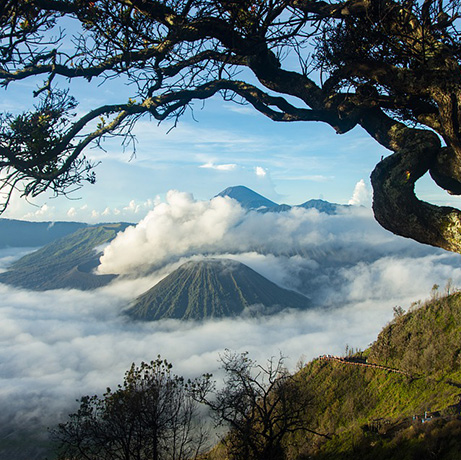 Bromo Vulcano View