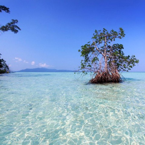 Clear water at Kariminjawa