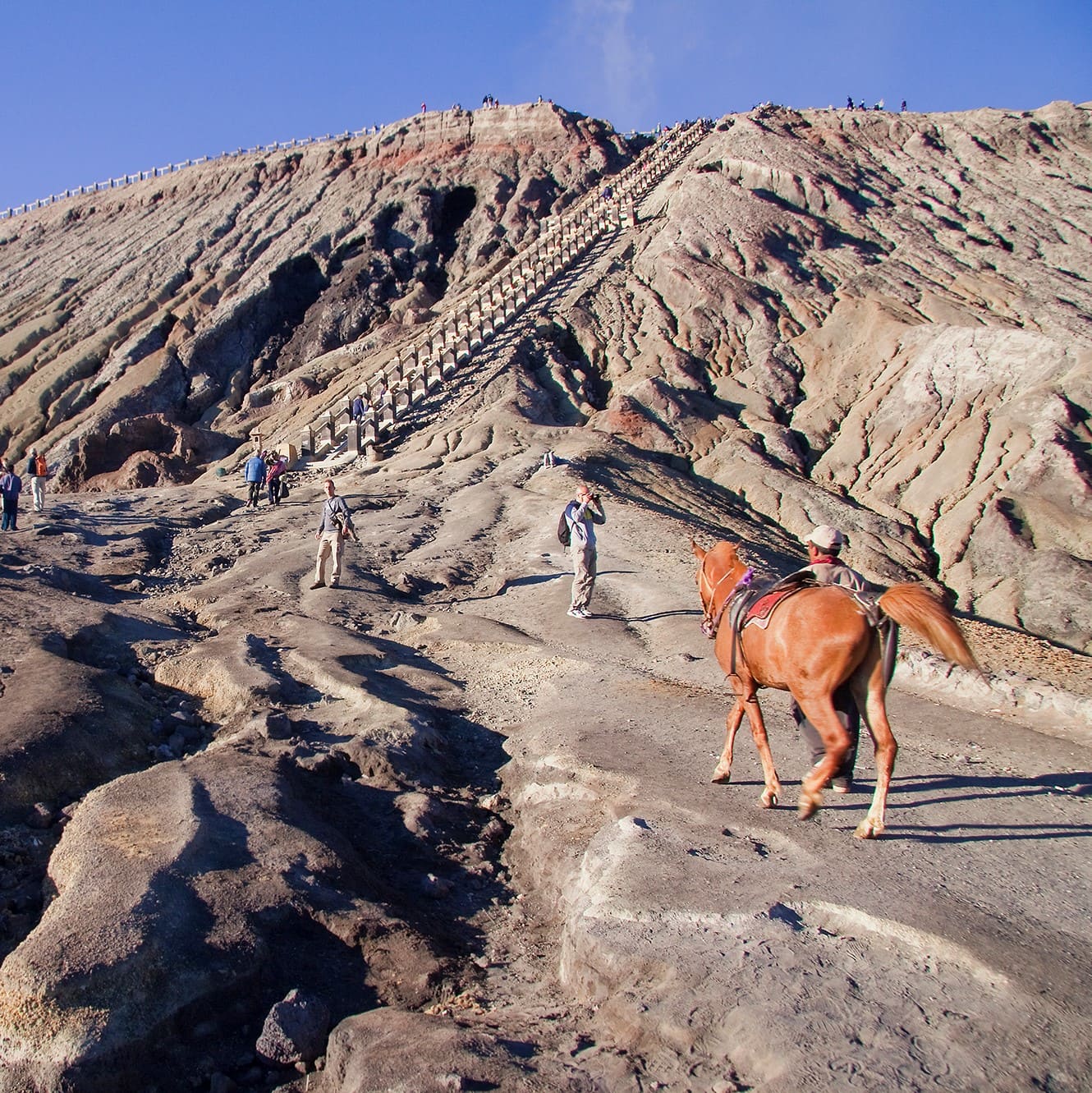 Horses riding up the Bromo vulcano