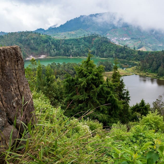 Dieng Plateau Forets view