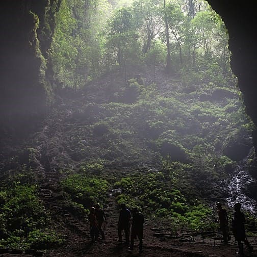 Forest inside the cave