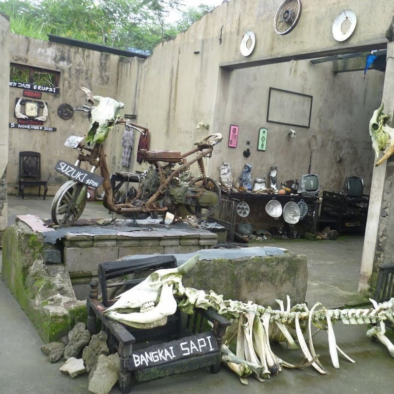 Merapi Mini Museum with cow skeletons